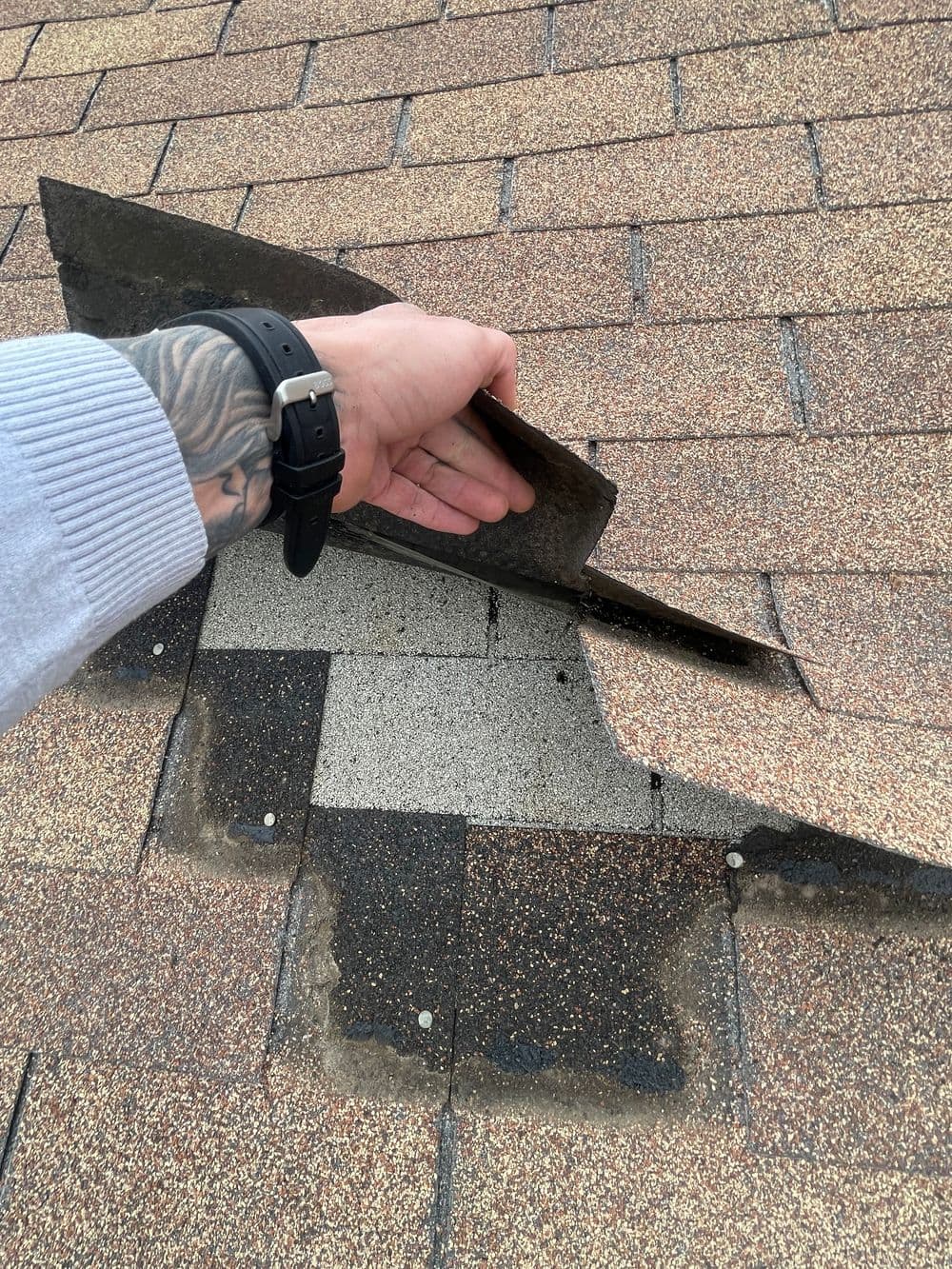 Roof Repairs image